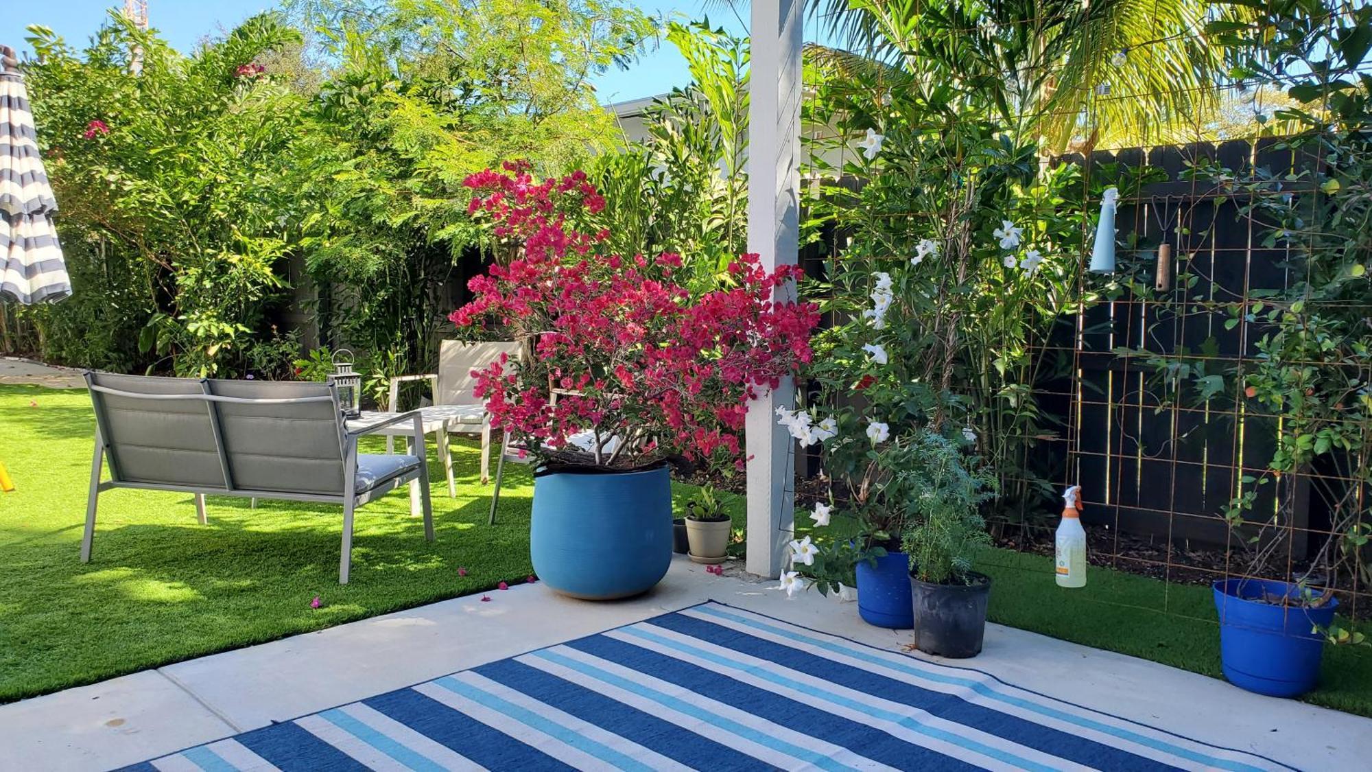 Casa Cuba In Little Havana, Brickell, Calle 8 And 10 Minutes To The Beach Free Parking Miami Exterior foto